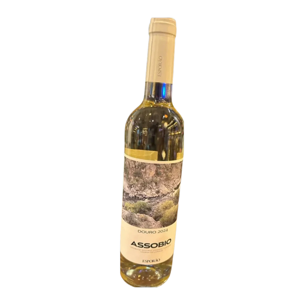 Assobio Douro 2024